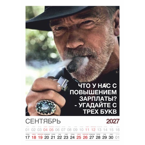 Календарь "Мужской взгляд" Остроумные цитаты, 24 фото, Настенный перекидной, 2027 год