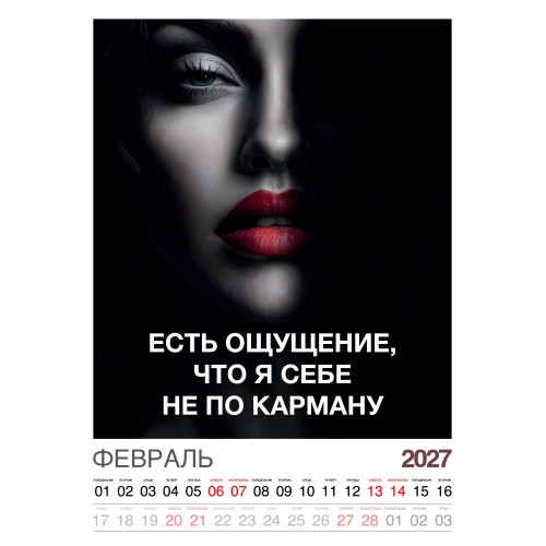 Календарь "Женский взгляд" Остроумные цитаты, 24 фото, Настенный перекидной, 2027 год