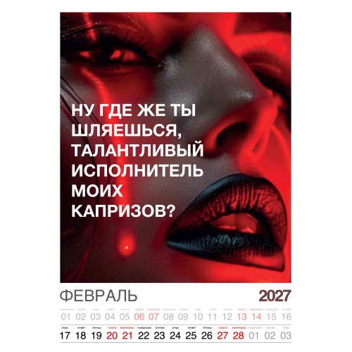 Календарь "Женский взгляд" Остроумные цитаты, 24 фото, Настенный перекидной, 2027 год