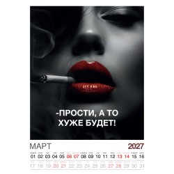Календарь "Женский взгляд" Остроумные цитаты, 24 фото, Настенный перекидной, 2027 год