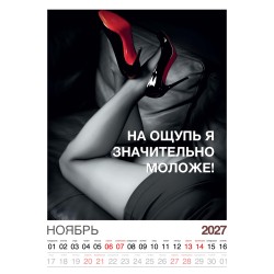 Календарь "Женский взгляд" Остроумные цитаты, 24 фото, Настенный перекидной, 2027 год