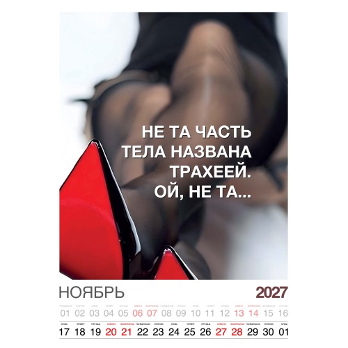 Календарь "Женский взгляд" Остроумные цитаты, 24 фото, Настенный перекидной, 2027 год