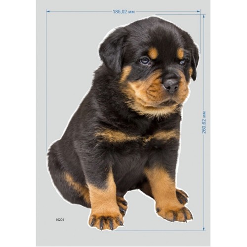 НАКЛЕЙКА ИНТЕРЬЕРНАЯ "ЩЕНОК РОТВЕЙЛЕРА"